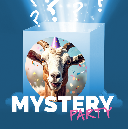 Party Mystery Box – LARGE